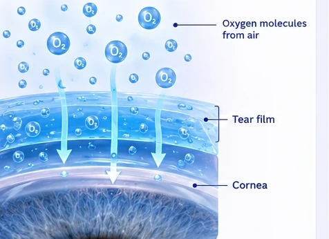 Oxygen from the air passing through the tear film into the cornea